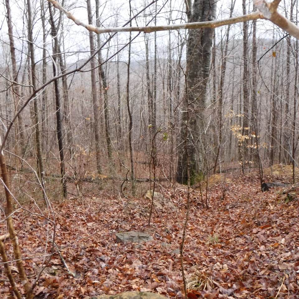 https://bt-photos.global.ssl.fastly.net/nashville/1280_boomver_1_RTC3150427-1.jpg