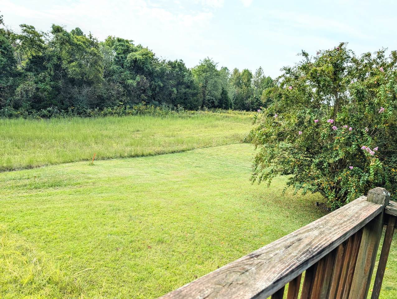 https://bt-photos.global.ssl.fastly.net/nashville/1280_boomver_1_RTC3152374-1.jpg