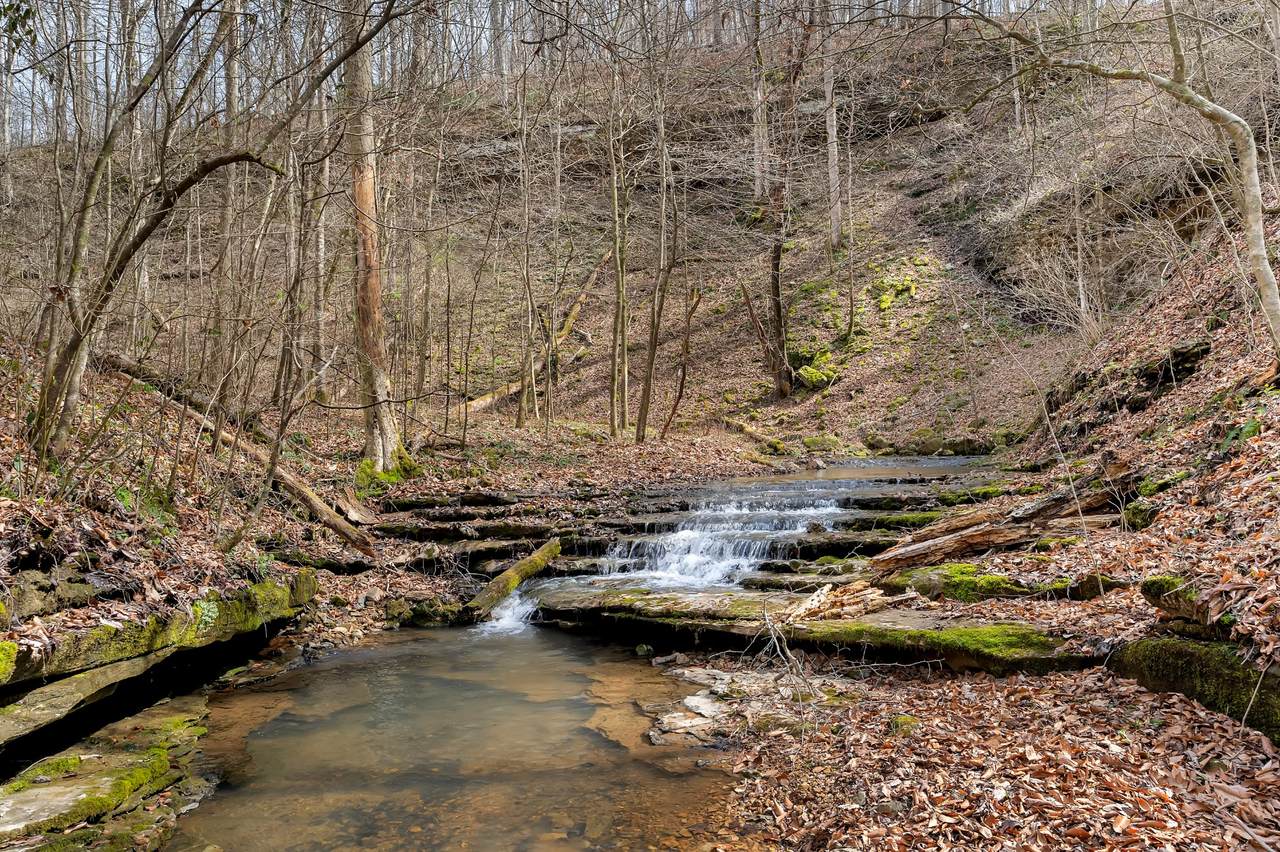 https://bt-photos.global.ssl.fastly.net/nashville/1280_boomver_1_RTC3152751-1.jpg
