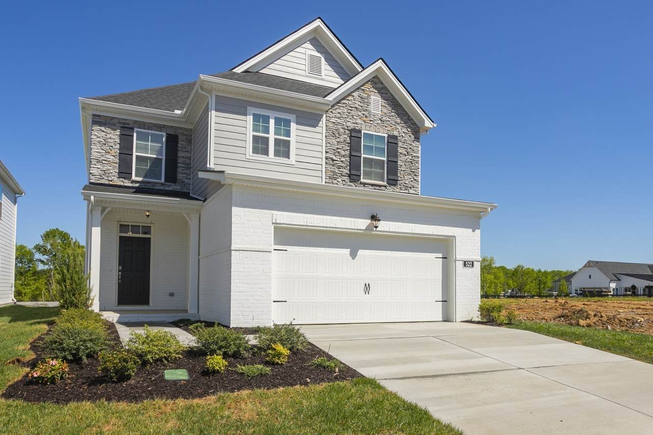 2525 Pleasant Ridge Run - Photo 1