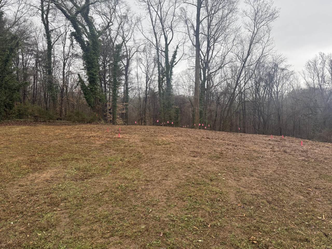 https://bt-photos.global.ssl.fastly.net/nashville/1280_boomver_1_RTC3152930-1.jpg