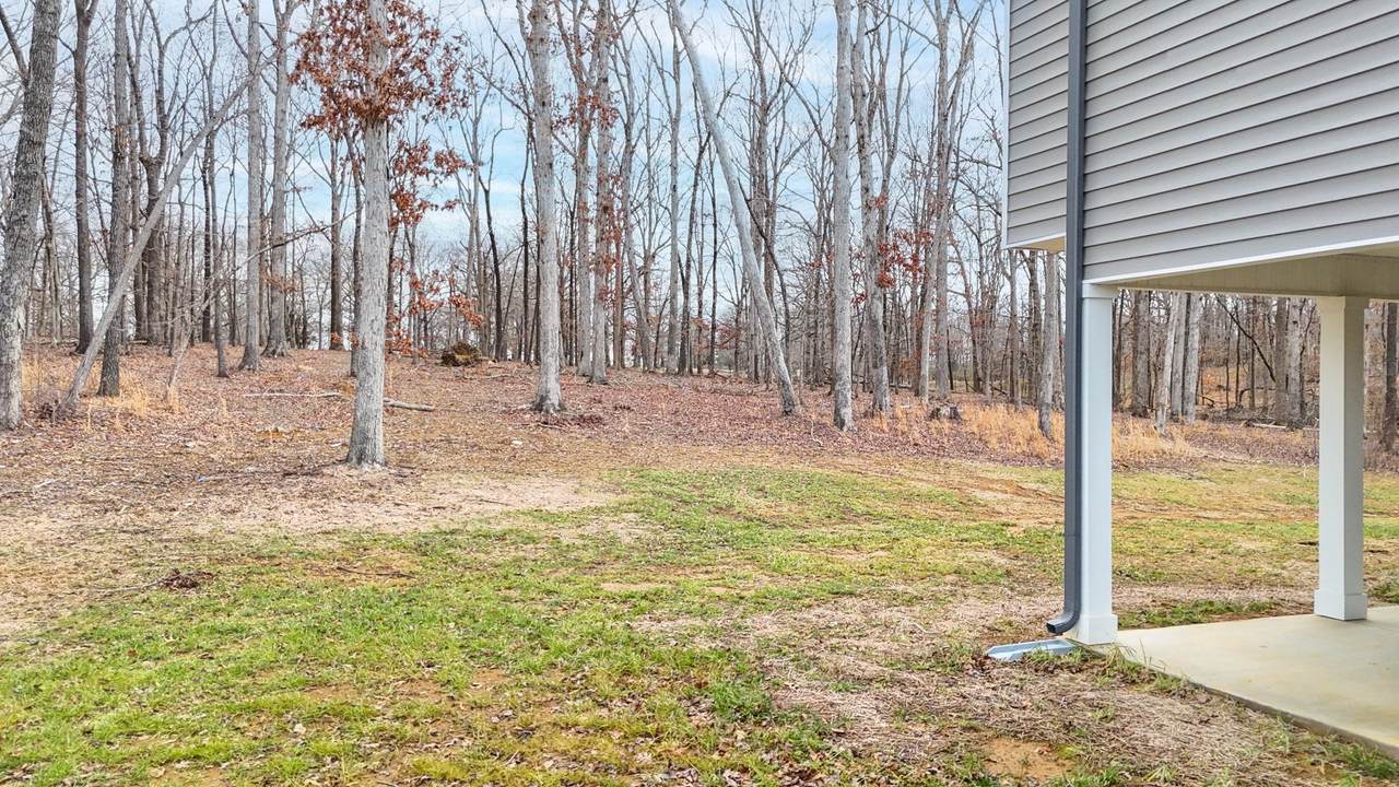 https://bt-photos.global.ssl.fastly.net/nashville/1280_boomver_1_RTC3153000-1.jpg