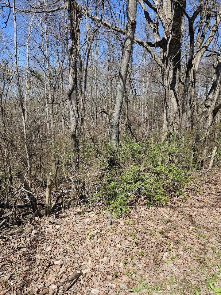 https://bt-photos.global.ssl.fastly.net/nashville/1280_boomver_1_RTC3153141-1.jpg