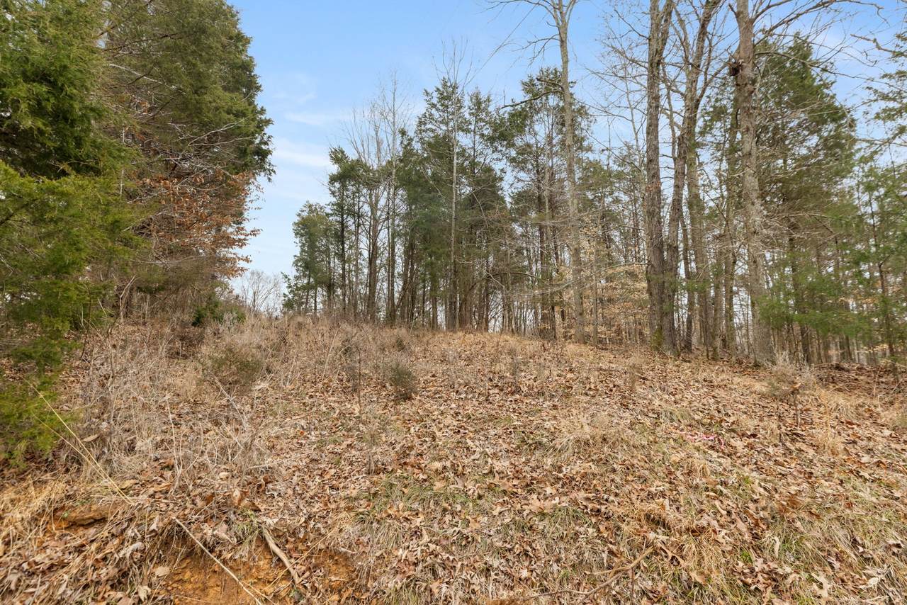 https://bt-photos.global.ssl.fastly.net/nashville/1280_boomver_1_RTC3153166-1.jpg