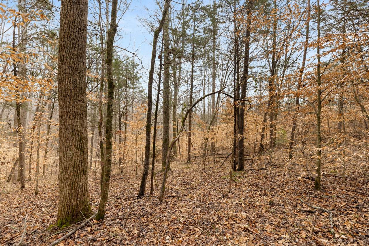 https://bt-photos.global.ssl.fastly.net/nashville/1280_boomver_1_RTC3153167-1.jpg
