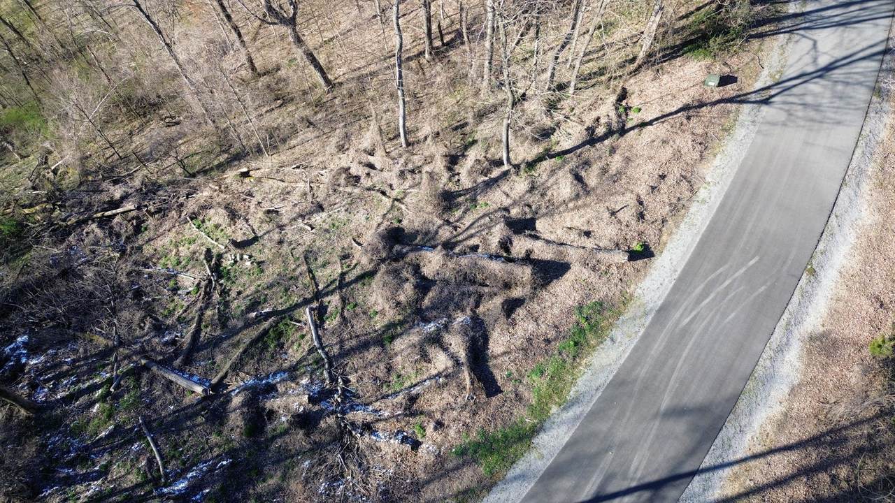 https://bt-photos.global.ssl.fastly.net/nashville/1280_boomver_1_RTC3153200-1.jpg