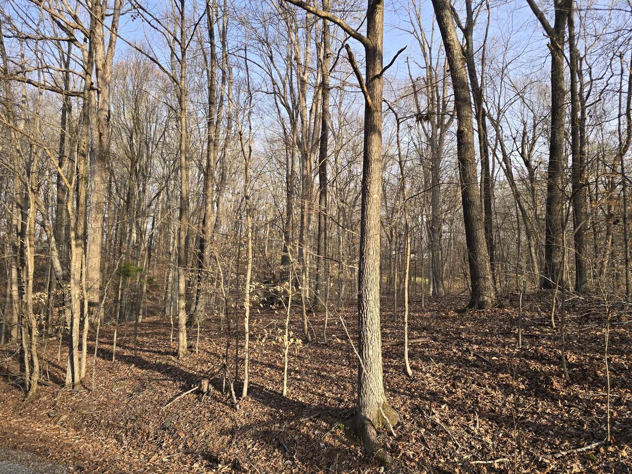 https://bt-photos.global.ssl.fastly.net/nashville/1280_boomver_1_RTC3154698-1.jpg
