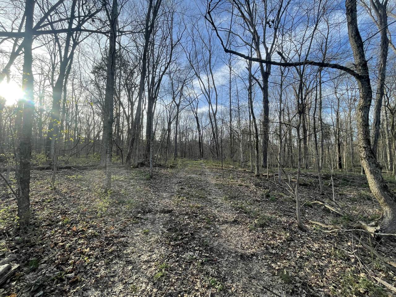https://bt-photos.global.ssl.fastly.net/nashville/1280_boomver_1_RTC3154849-1.jpg