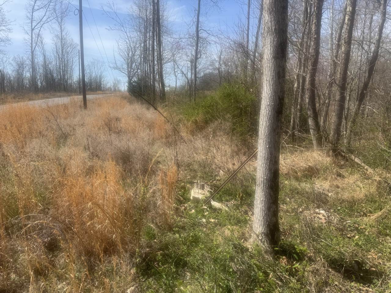 https://bt-photos.global.ssl.fastly.net/nashville/1280_boomver_1_RTC3154938-1.jpg