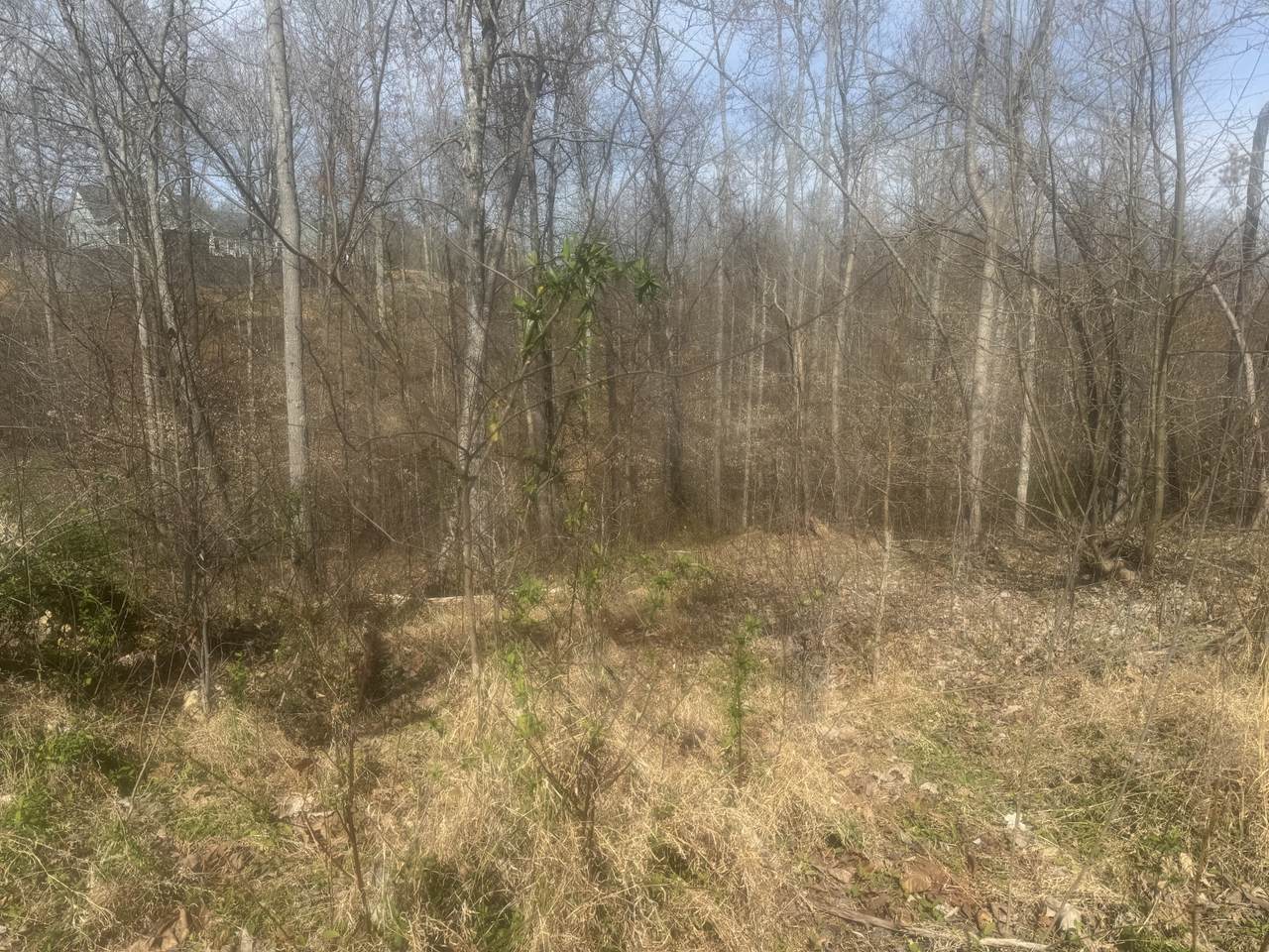 https://bt-photos.global.ssl.fastly.net/nashville/1280_boomver_1_RTC3154938-1.jpg