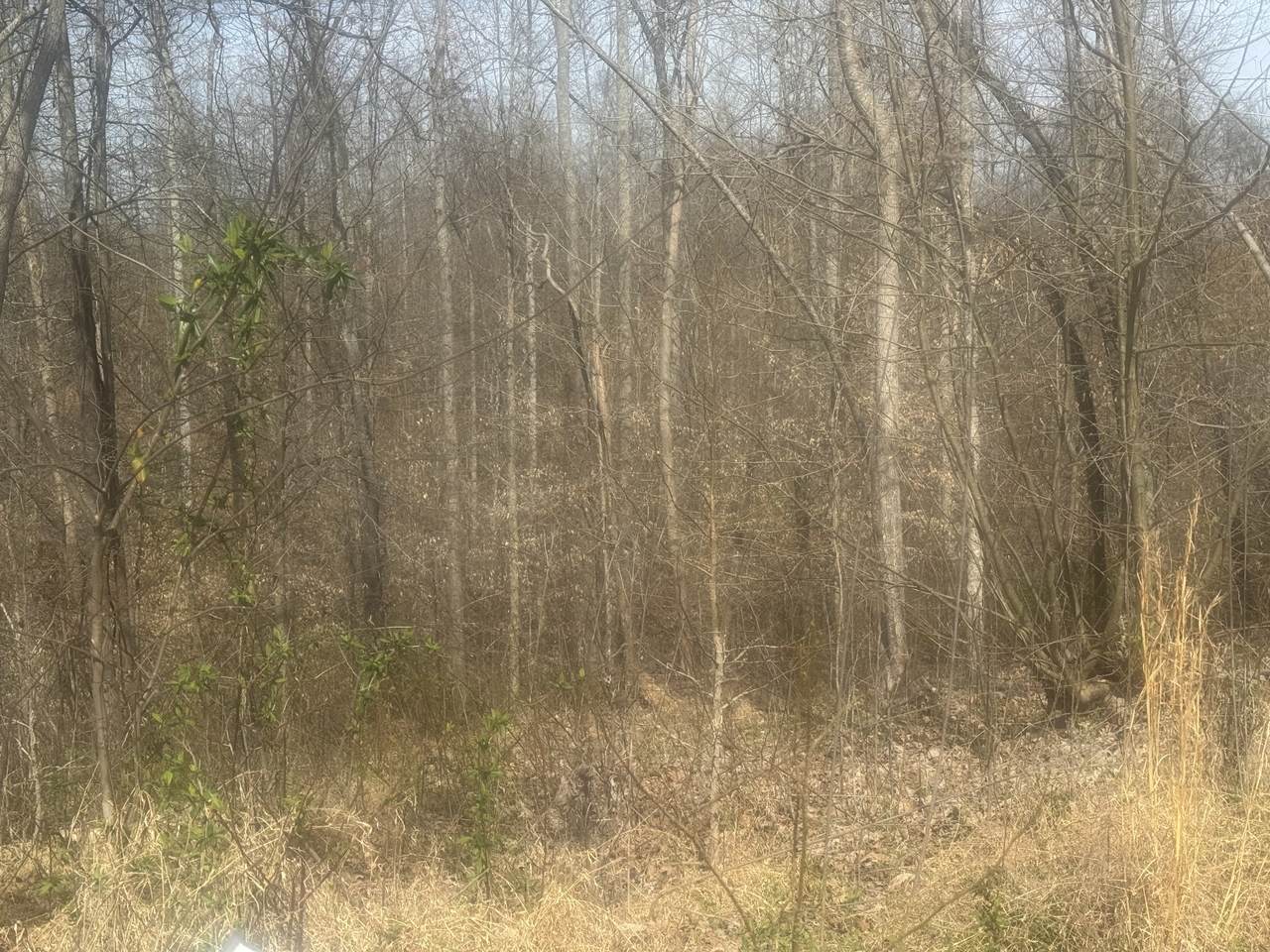 https://bt-photos.global.ssl.fastly.net/nashville/1280_boomver_1_RTC3154938-1.jpg