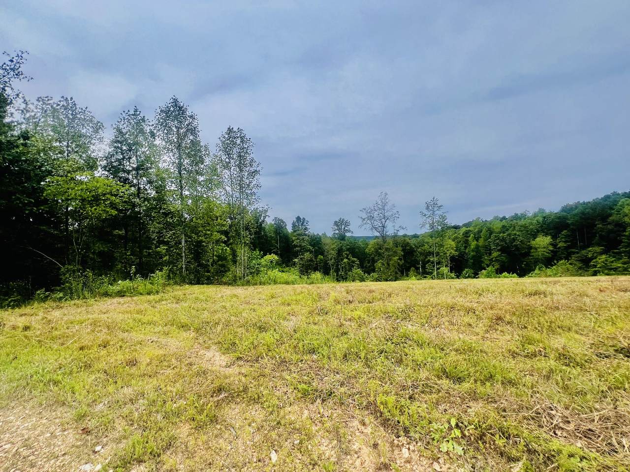 0 Kro Hollow Rd - Photo 1