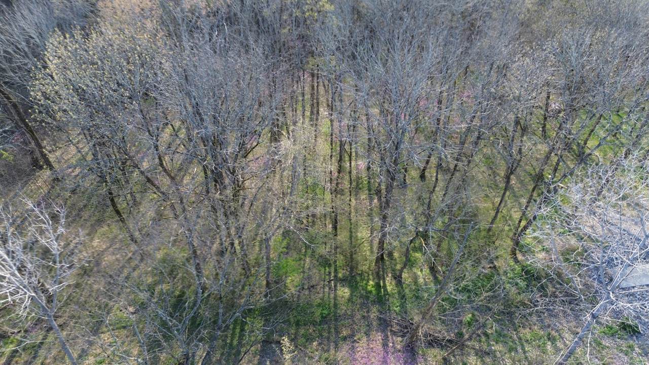https://bt-photos.global.ssl.fastly.net/nashville/1280_boomver_1_RTC3155201-1.jpg