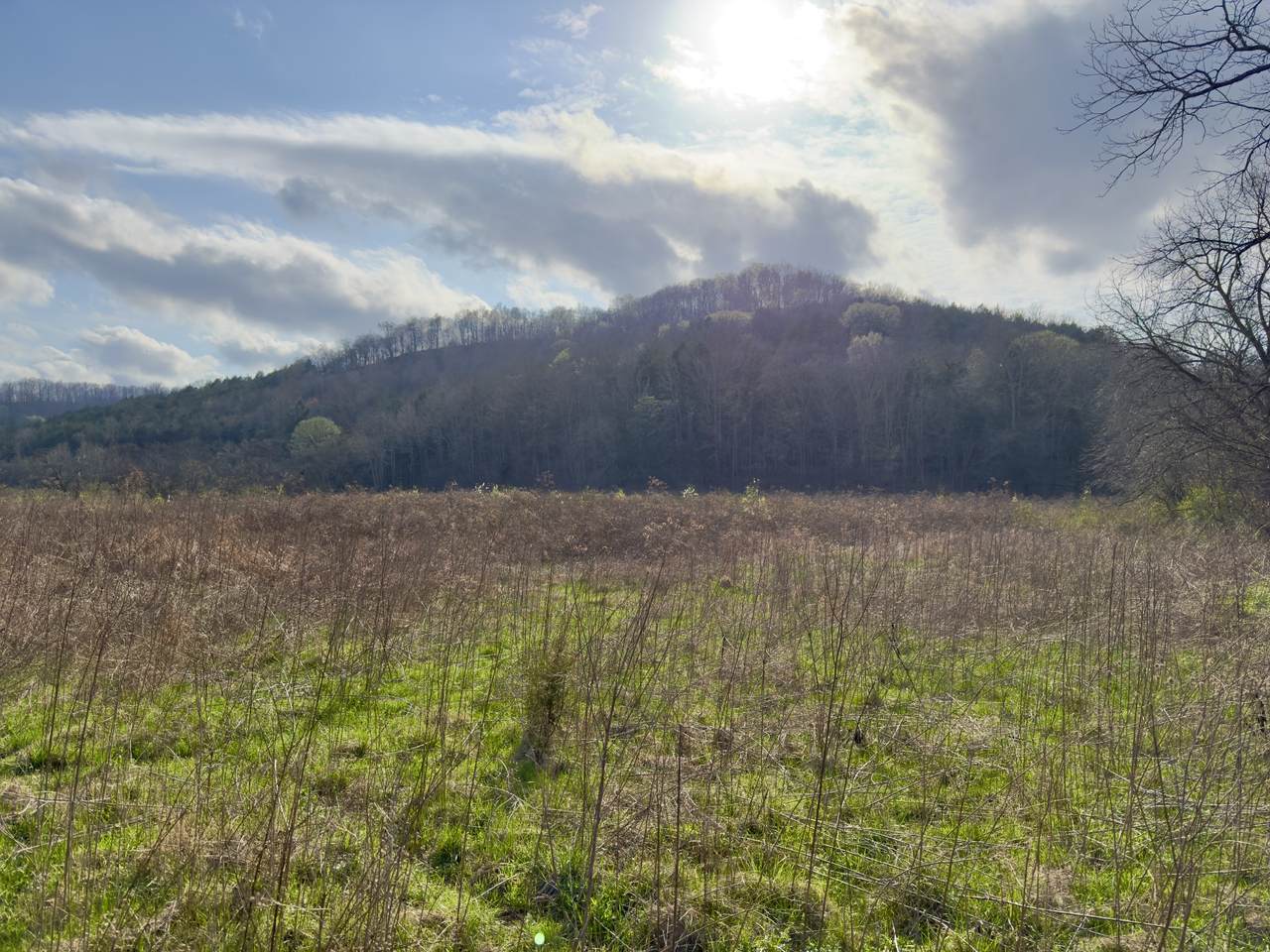 https://bt-photos.global.ssl.fastly.net/nashville/1280_boomver_2_RTC3155229-1.jpg