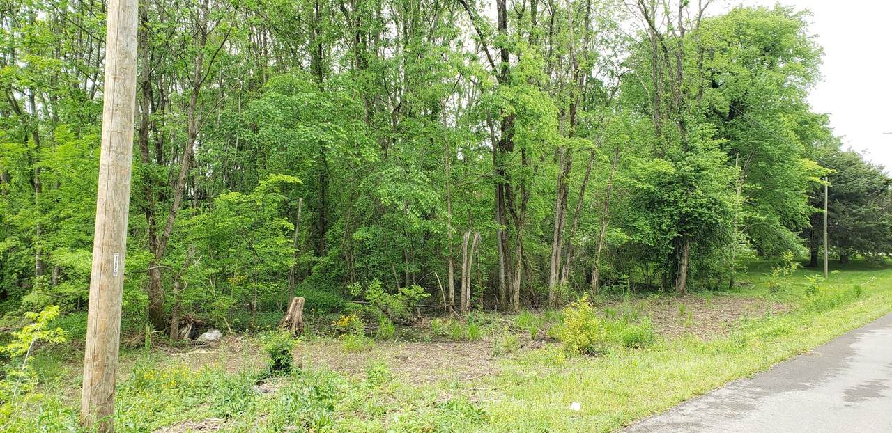 0 Caroline Dr - Photo 1