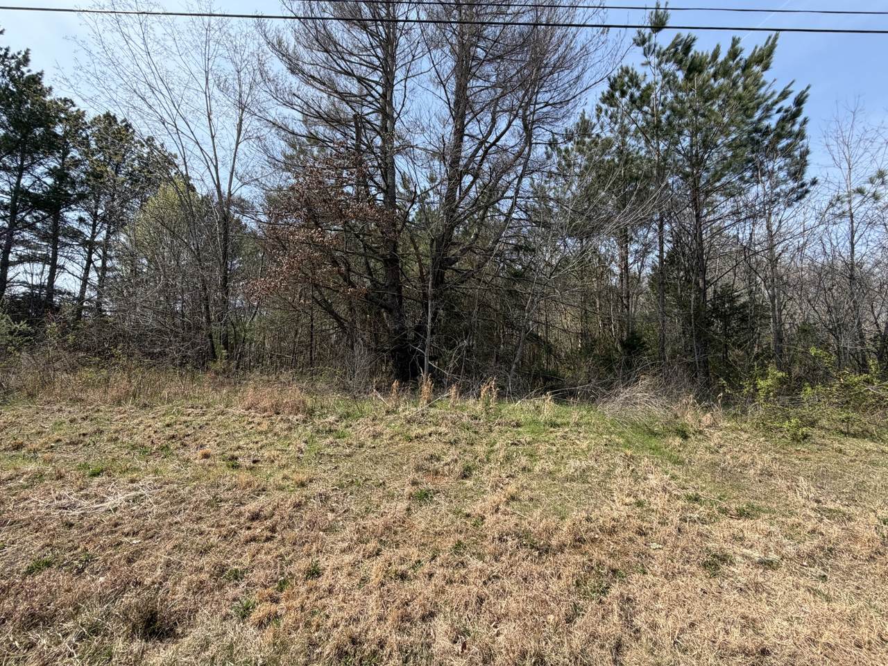 https://bt-photos.global.ssl.fastly.net/nashville/1280_boomver_1_RTC3155526-1.jpg