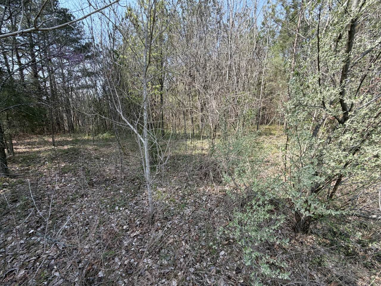 https://bt-photos.global.ssl.fastly.net/nashville/1280_boomver_1_RTC3155526-1.jpg