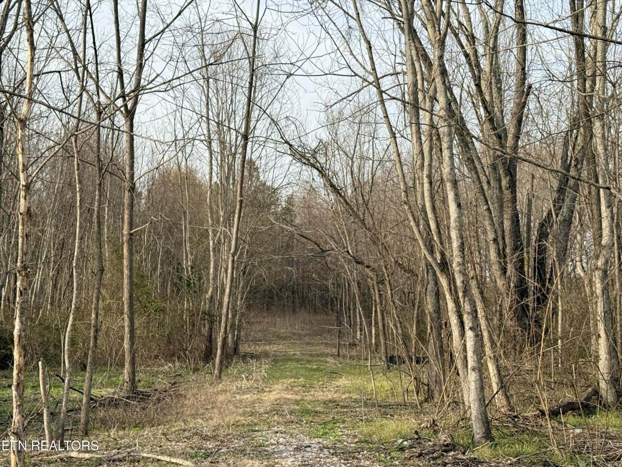 1115 Frank Campbell Rd - Photo 1