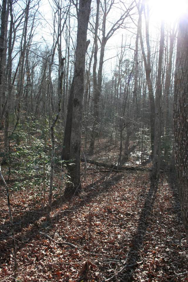 https://bt-photos.global.ssl.fastly.net/nashville/1280_boomver_1_RTC3155796-1.jpg