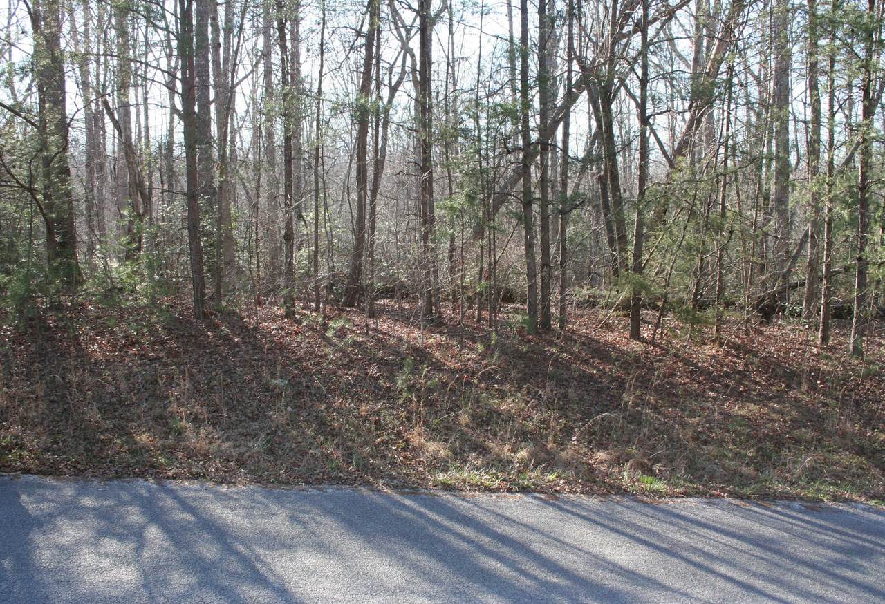https://bt-photos.global.ssl.fastly.net/nashville/1280_boomver_1_RTC3155796-1.jpg