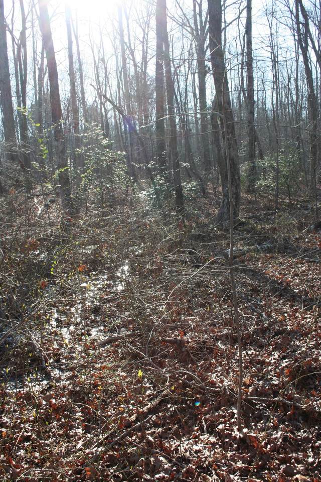 https://bt-photos.global.ssl.fastly.net/nashville/1280_boomver_1_RTC3155807-1.jpg