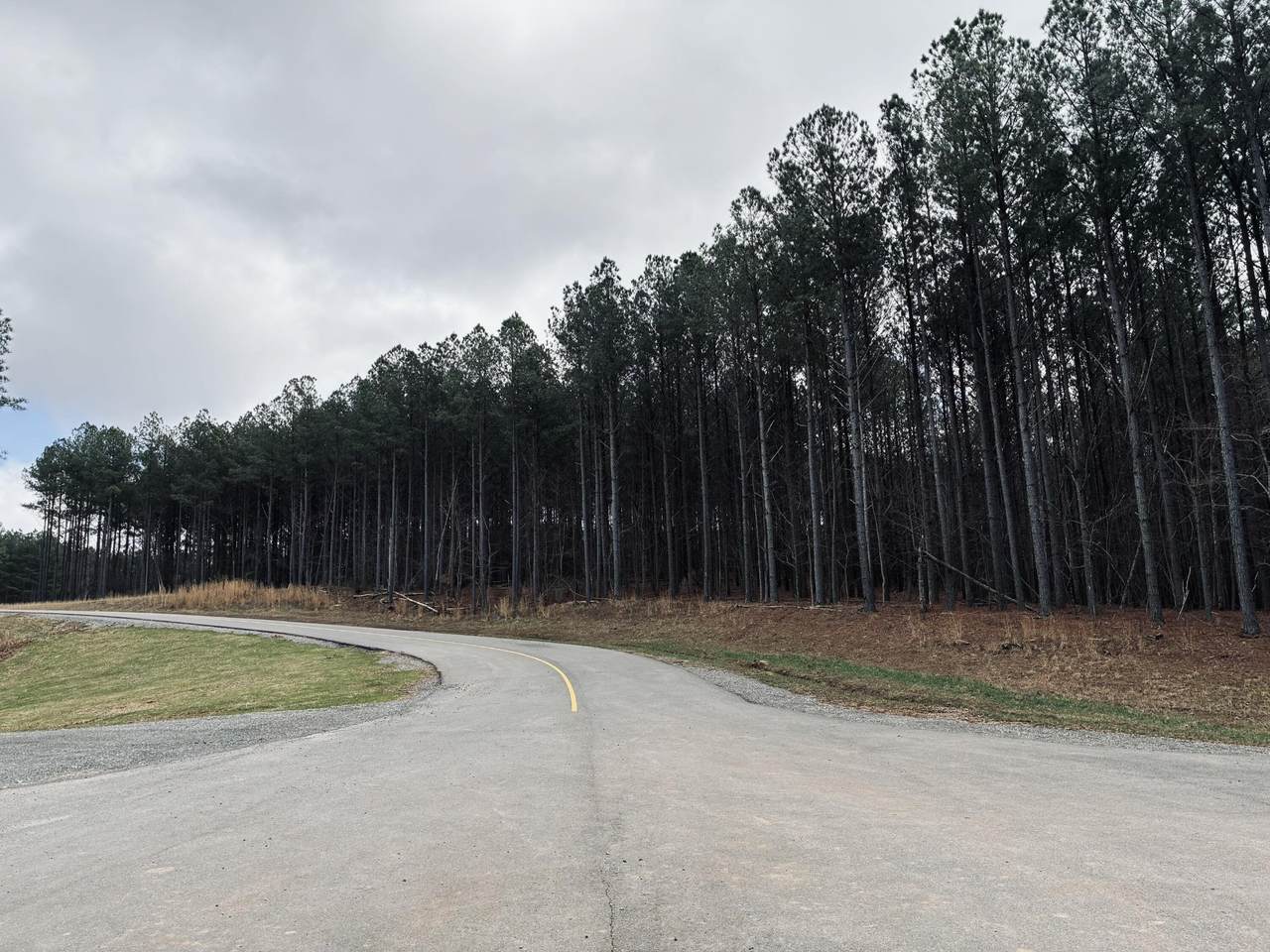 https://bt-photos.global.ssl.fastly.net/nashville/1280_boomver_1_RTC3155822-1.jpg