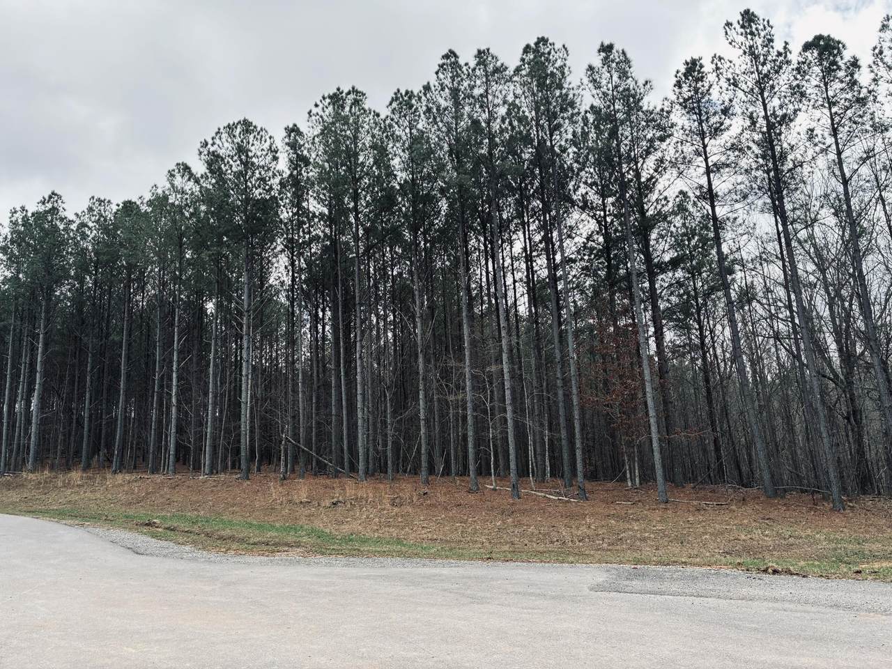 https://bt-photos.global.ssl.fastly.net/nashville/1280_boomver_1_RTC3155822-1.jpg