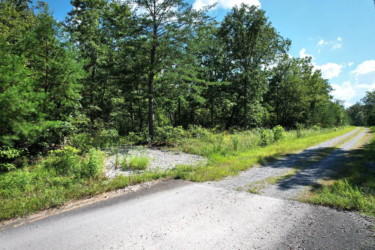 0 Big Bluff View Road - Photo 1