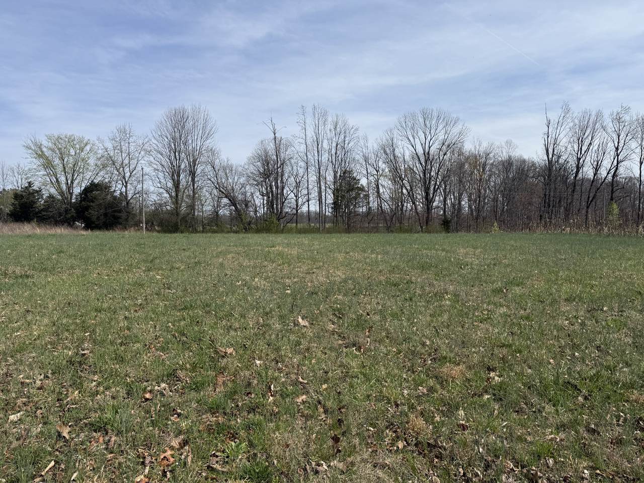 121 Magnolia Dr - Photo 1