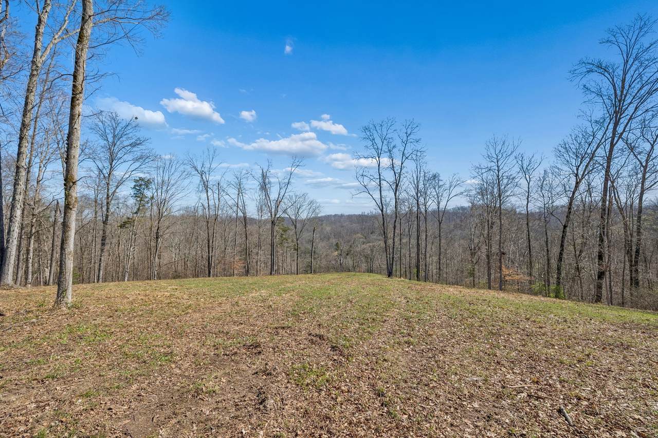 https://bt-photos.global.ssl.fastly.net/nashville/1280_boomver_1_RTC3156082-1.jpg