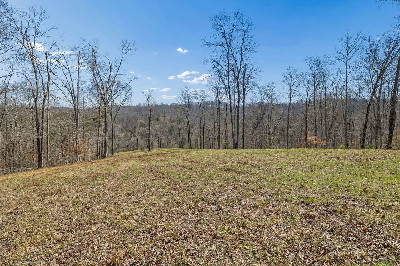 https://bt-photos.global.ssl.fastly.net/nashville/1280_boomver_1_RTC3156082-1.jpg