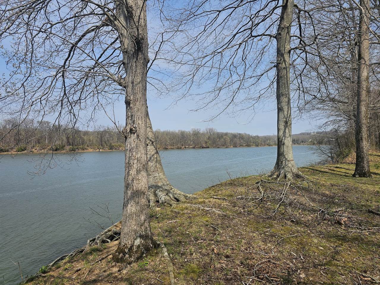 https://bt-photos.global.ssl.fastly.net/nashville/1280_boomver_1_RTC3156142-1.jpg