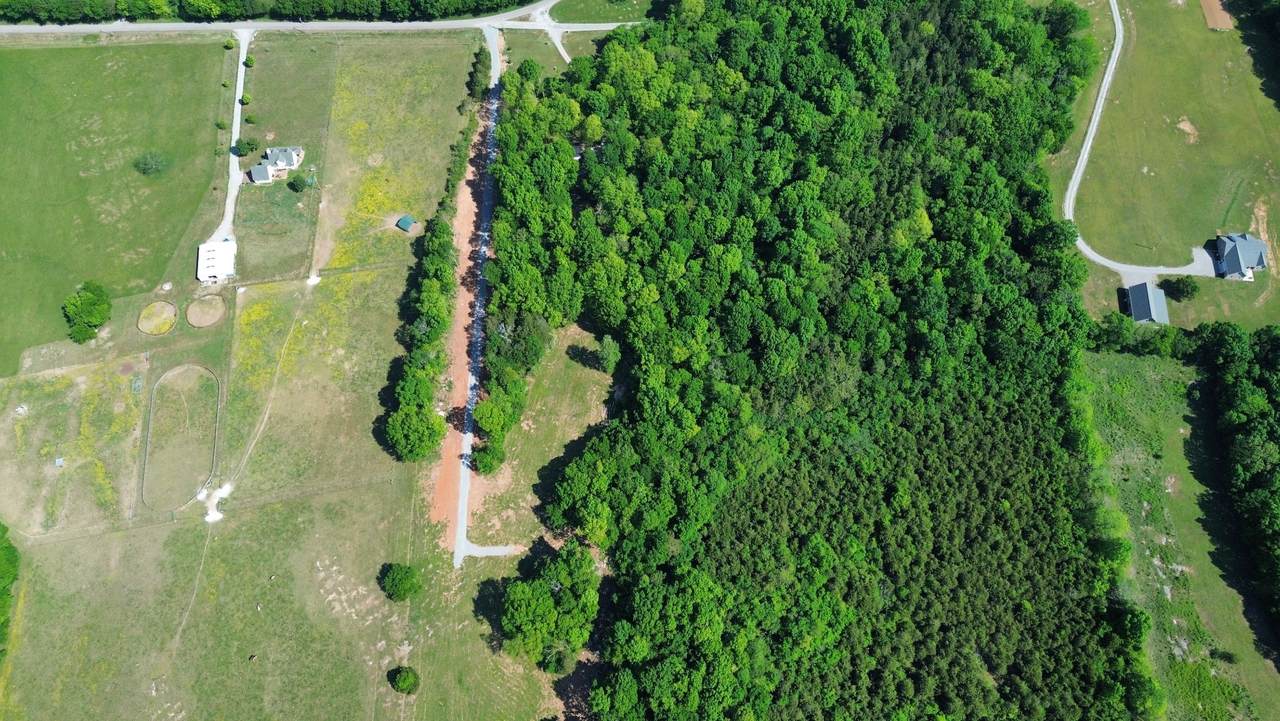 2556 Palmetto Cemetery Rd - Photo 1