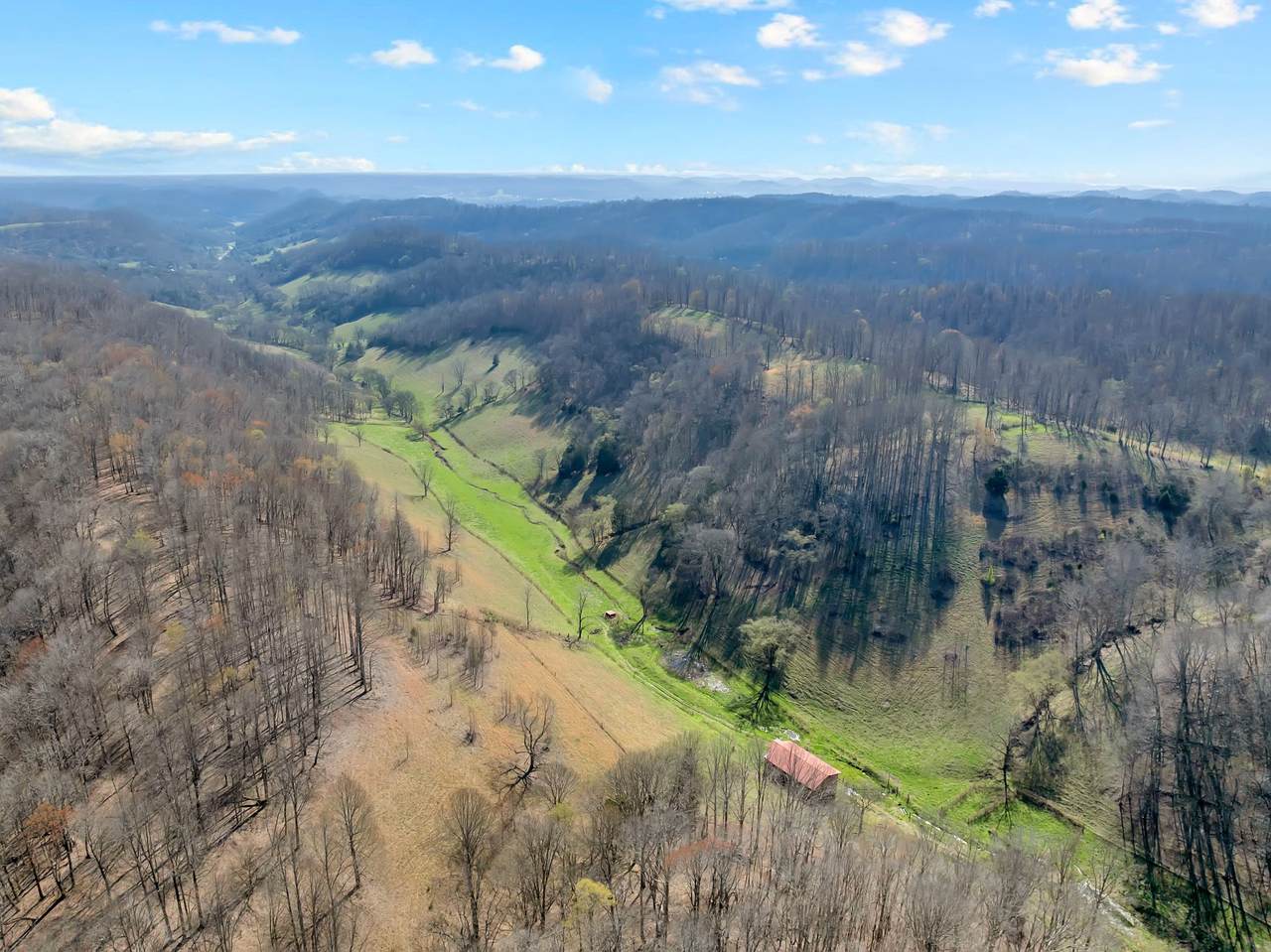 546 Womack Hollow Rd - Photo 1