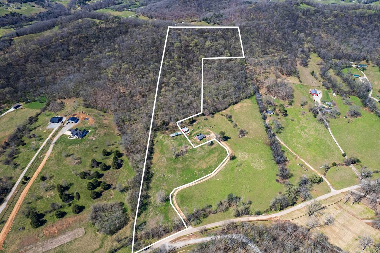 0 Dowell Branch Rd - Photo 1