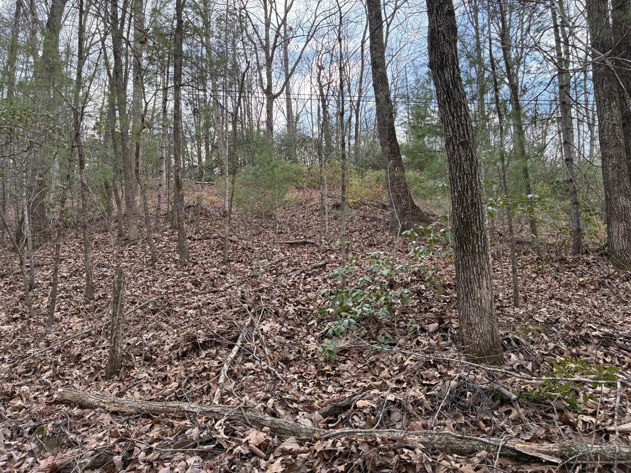 0 Chestnut Mountain Road - Photo 1