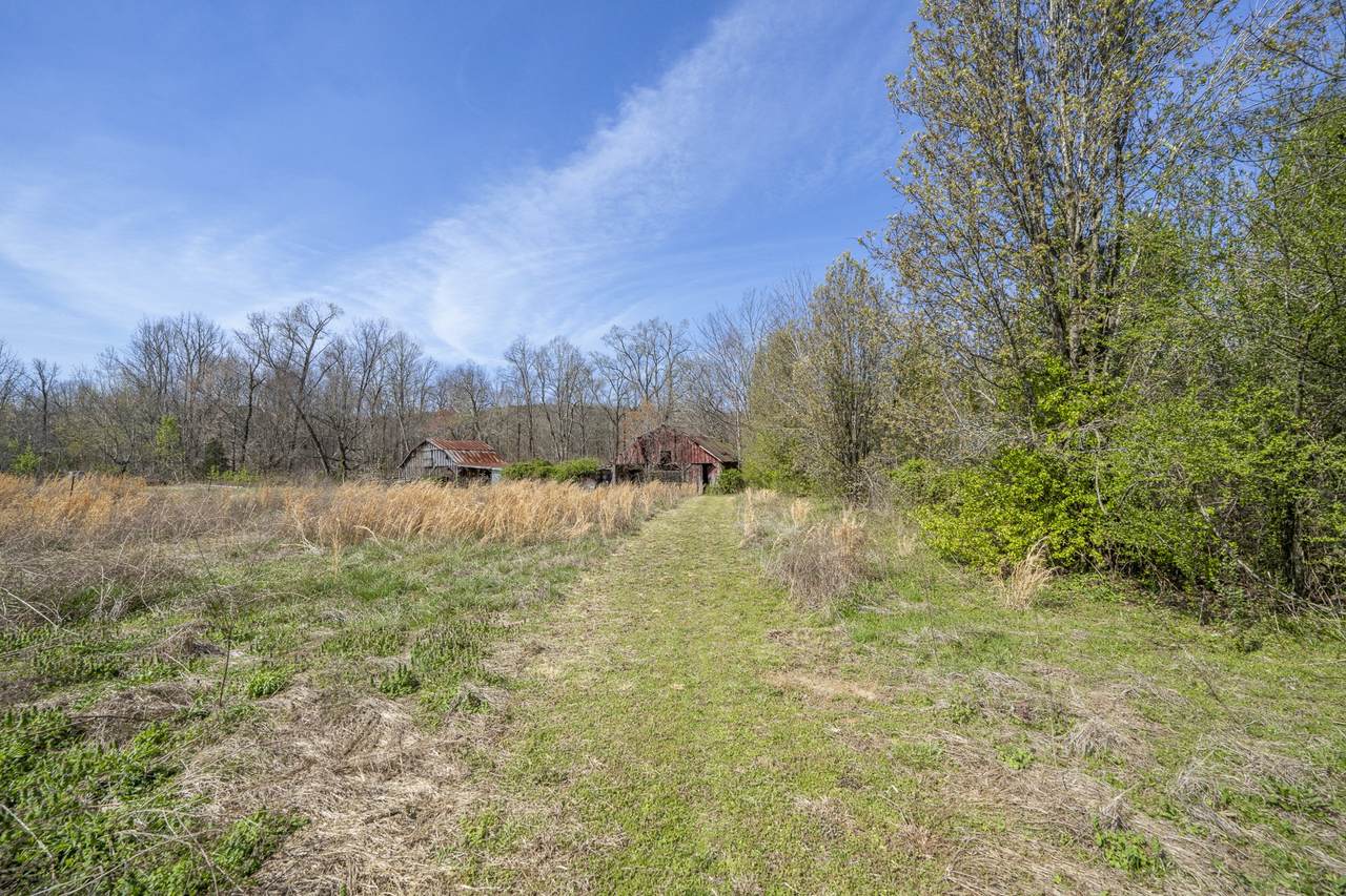 https://bt-photos.global.ssl.fastly.net/nashville/1280_boomver_1_RTC3158399-1.jpg