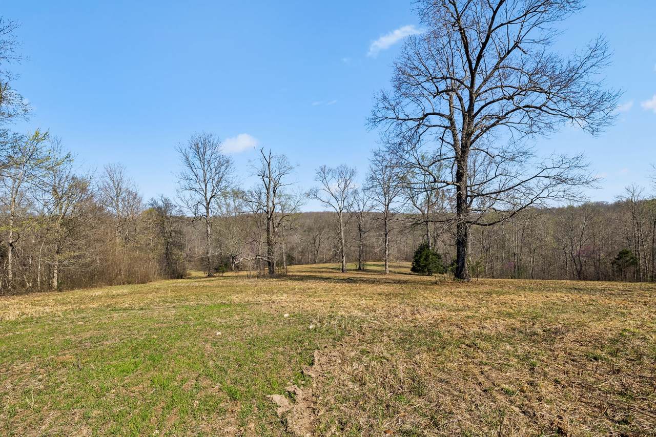 https://bt-photos.global.ssl.fastly.net/nashville/1280_boomver_1_RTC3158600-1.jpg