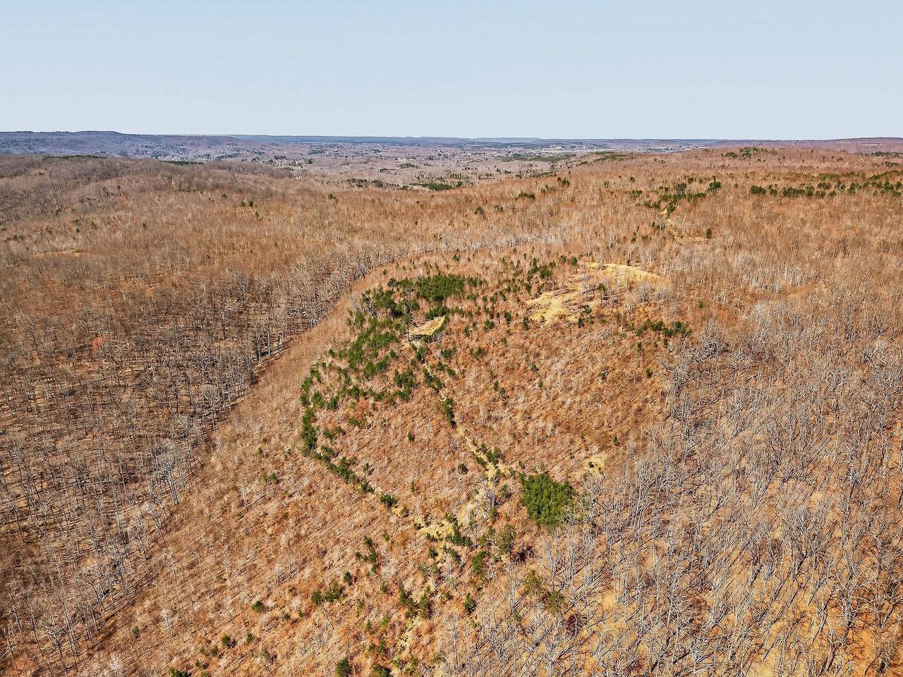 253 Daus Mountain Rd - Photo 1