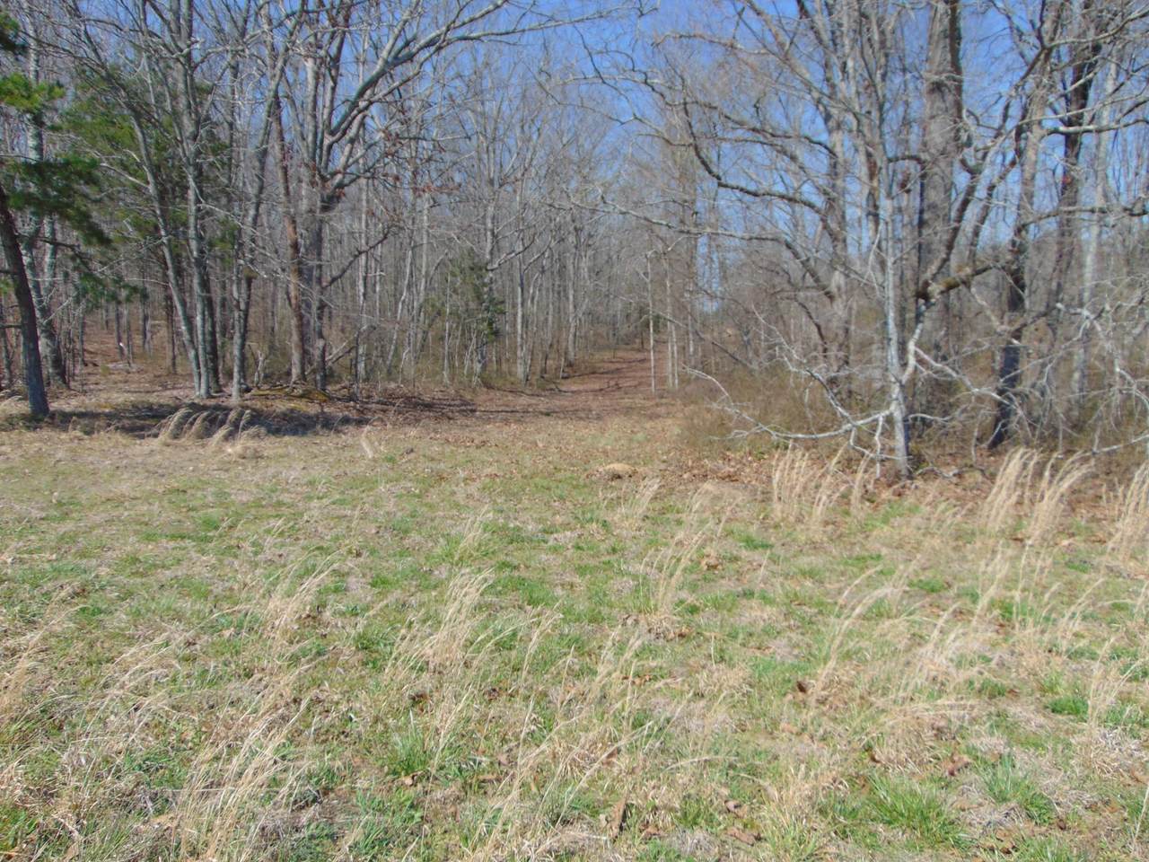 https://bt-photos.global.ssl.fastly.net/nashville/1280_boomver_1_RTC3158744-1.jpg