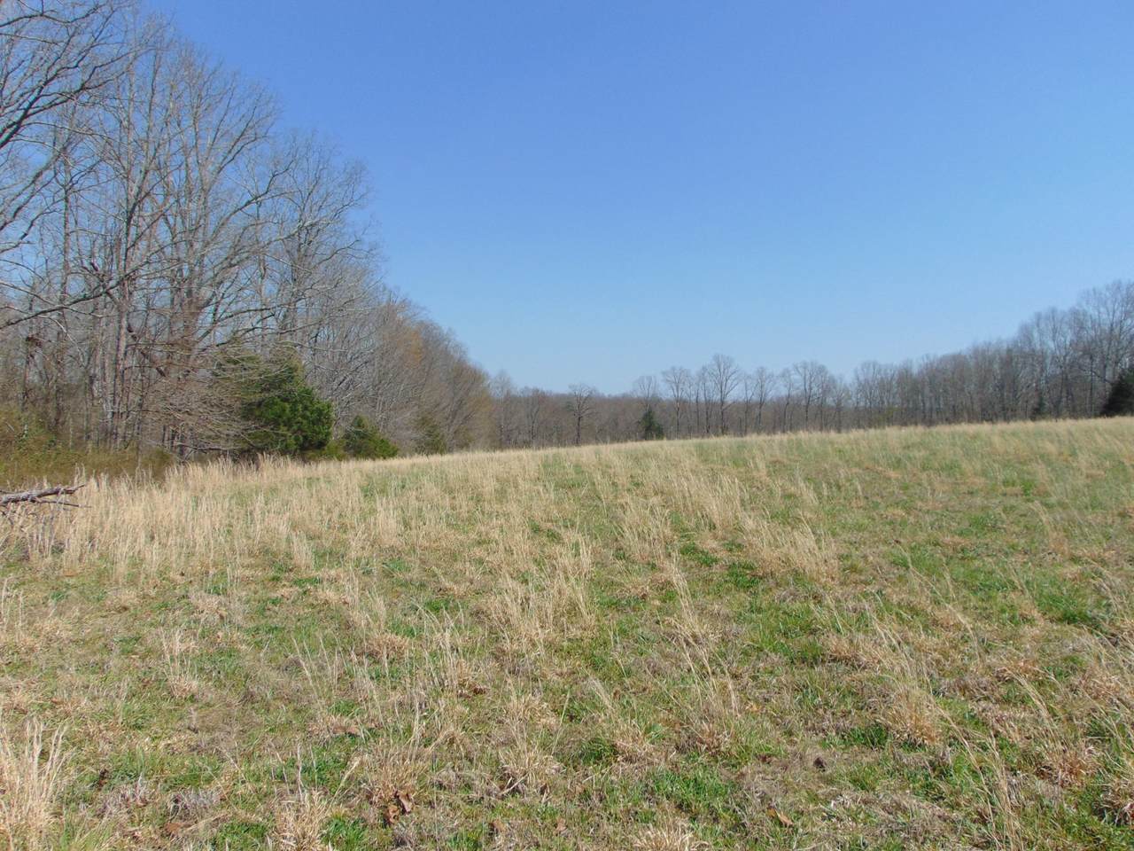 https://bt-photos.global.ssl.fastly.net/nashville/1280_boomver_1_RTC3158744-1.jpg