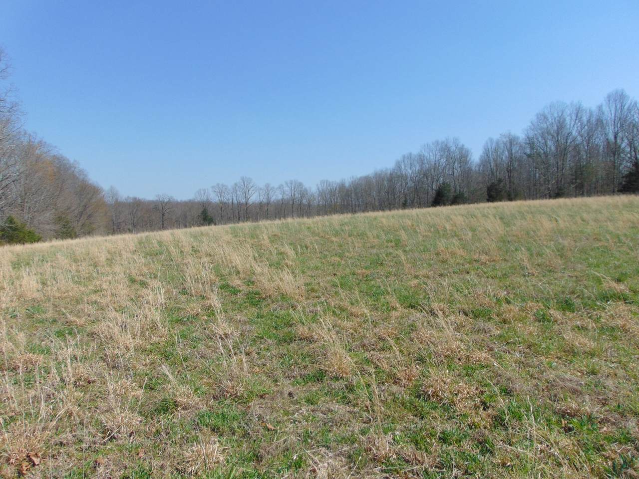 https://bt-photos.global.ssl.fastly.net/nashville/1280_boomver_1_RTC3158744-1.jpg