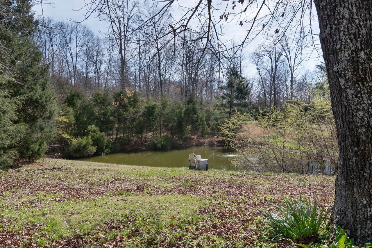 https://bt-photos.global.ssl.fastly.net/nashville/1280_boomver_1_RTC3158946-1.jpg