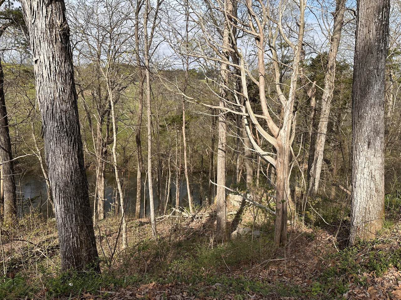 https://bt-photos.global.ssl.fastly.net/nashville/1280_boomver_1_RTC3159114-1.jpg