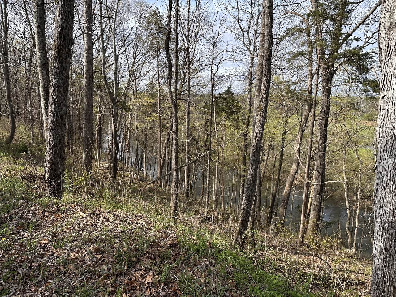 https://bt-photos.global.ssl.fastly.net/nashville/1280_boomver_1_RTC3159114-1.jpg