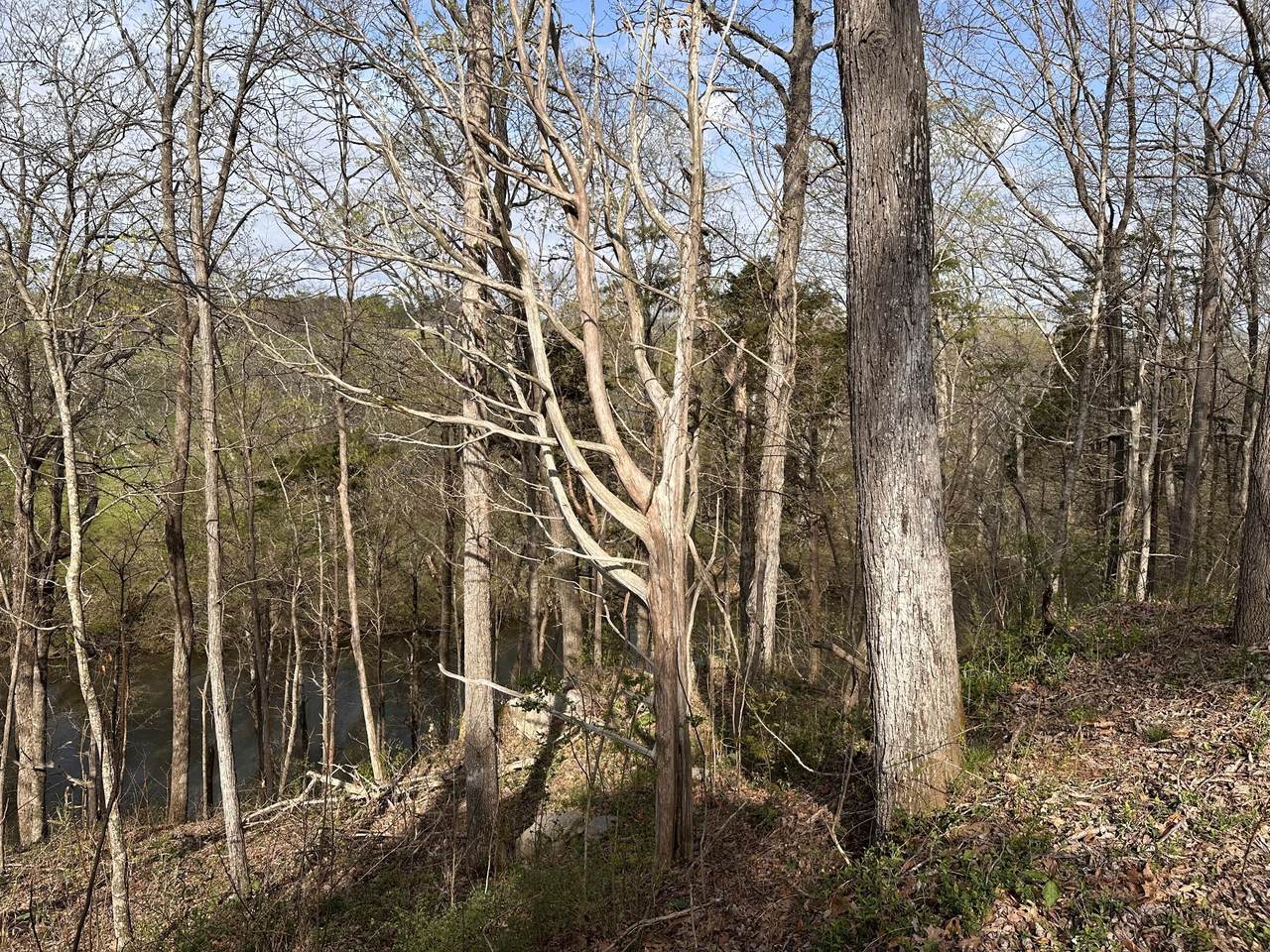https://bt-photos.global.ssl.fastly.net/nashville/1280_boomver_1_RTC3159114-1.jpg