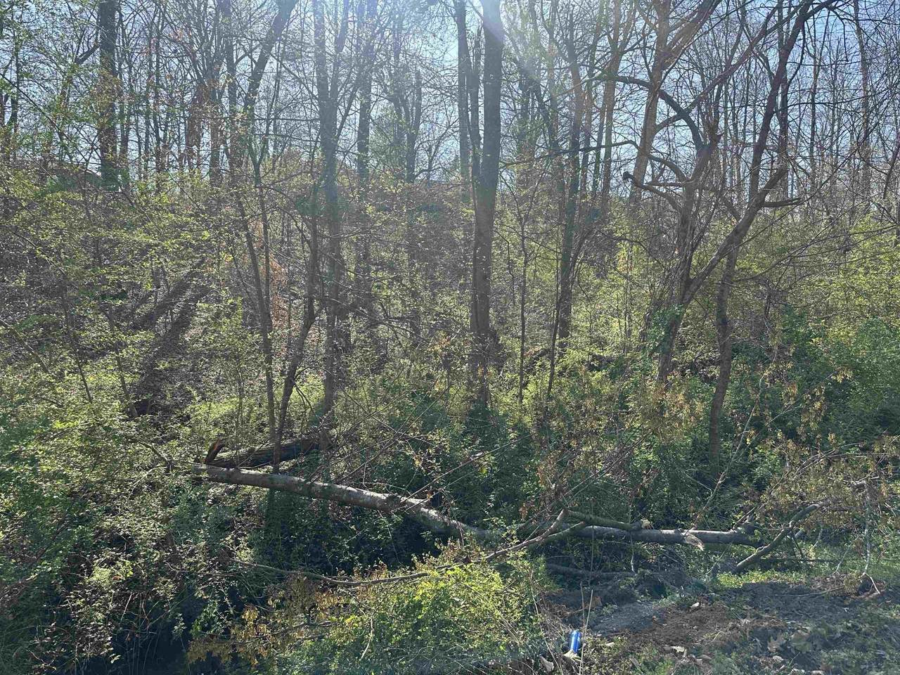 https://bt-photos.global.ssl.fastly.net/nashville/1280_boomver_1_RTC3159132-1.jpg