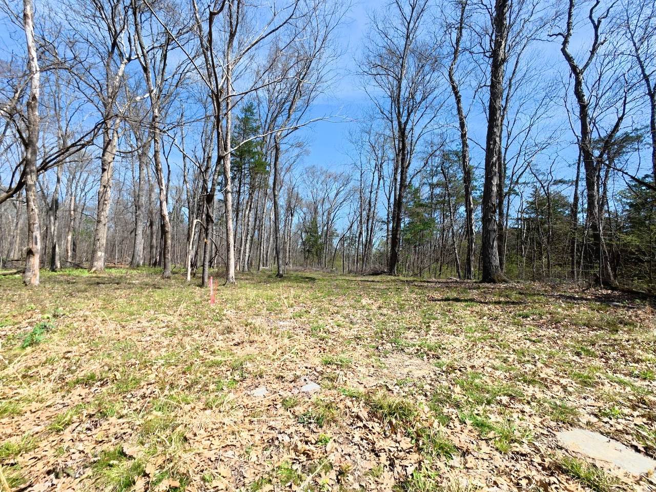 9346 Christiana Fosterville Rd - Photo 1