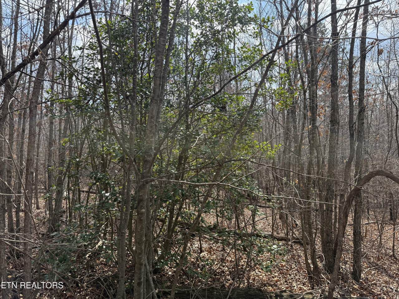 https://bt-photos.global.ssl.fastly.net/nashville/1280_boomver_1_RTC3159241-1.jpg