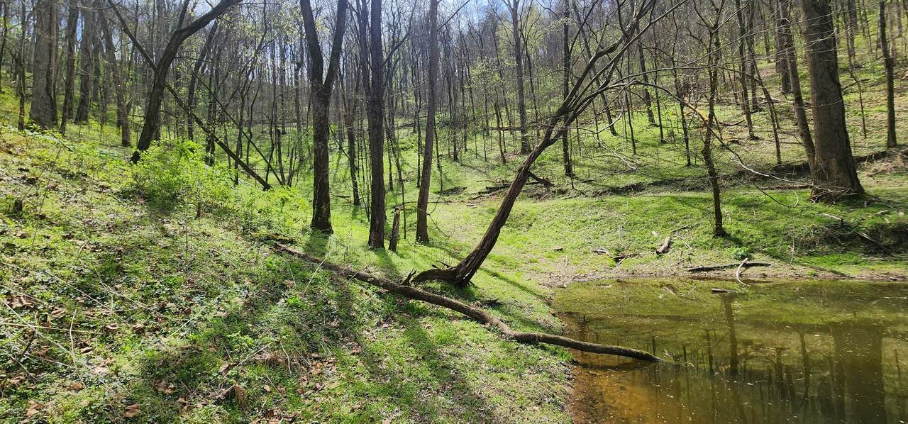 https://bt-photos.global.ssl.fastly.net/nashville/1280_boomver_1_RTC3159345-1.jpg